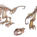 07-trex-designs